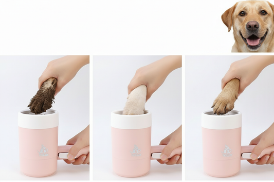 Paw cleaning process - revised