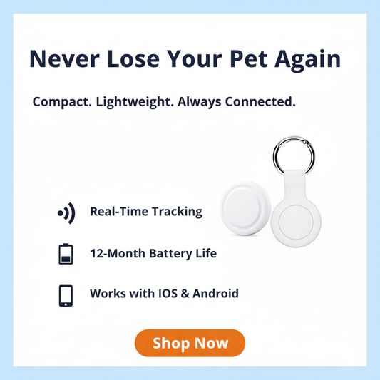 Premium marketing graphic